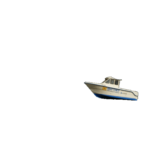 Transparency Lac Sticker by La Galère Club Nautique