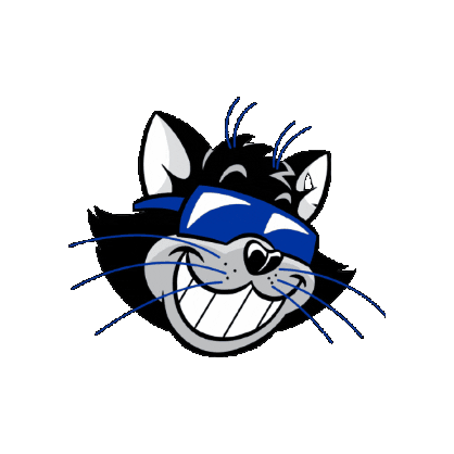 Cat Country 987 Sticker