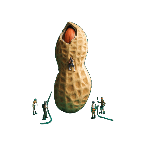 Nuts Sticker by USA Peanuts