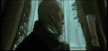 Movie gif. Laurence Fishburne as Morpheus in The Matrix turns from a window to face us as lightning strikes dramatically outside. He says, "At last."