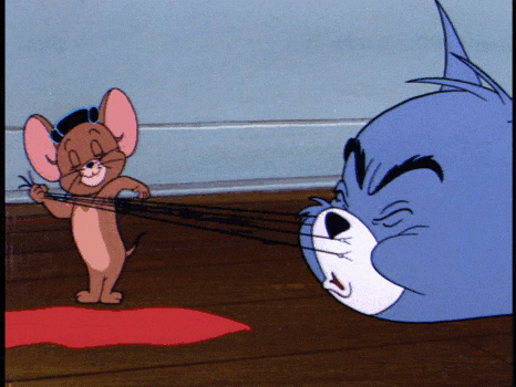 Giphy - tom and jerry fighting GIF