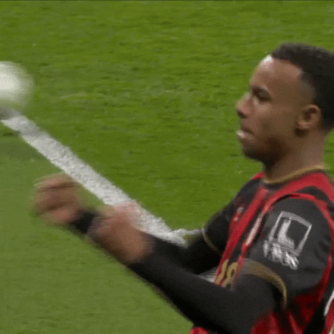 Happy Premier League GIF by AFC Bournemouth