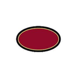 Usa Hockey Boston Sticker by World Hockey Group