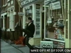 giphy.gif