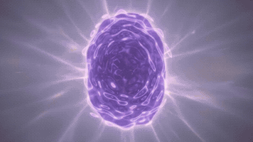 Plains of Equilibria
