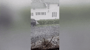 New York GIF