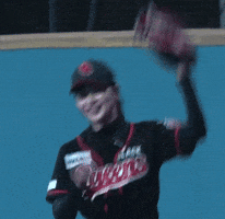 Baseball No GIF