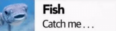 Catch Me Fish GIF
