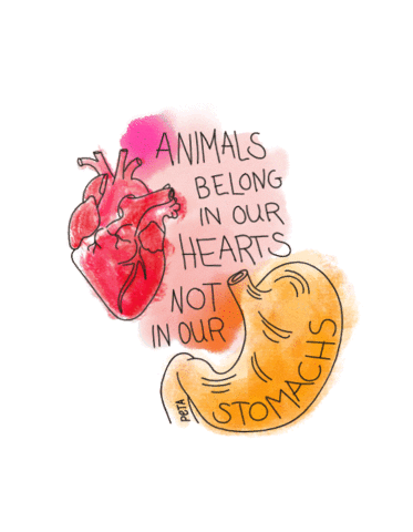 Heart Comics Sticker by PETA Deutschland e.V.
