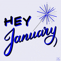 Month January GIF
