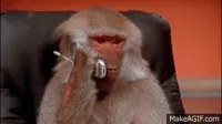 phone GIF
