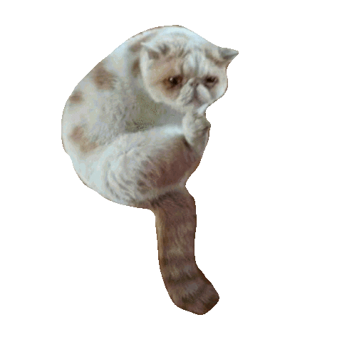 In Love Hearts Sticker