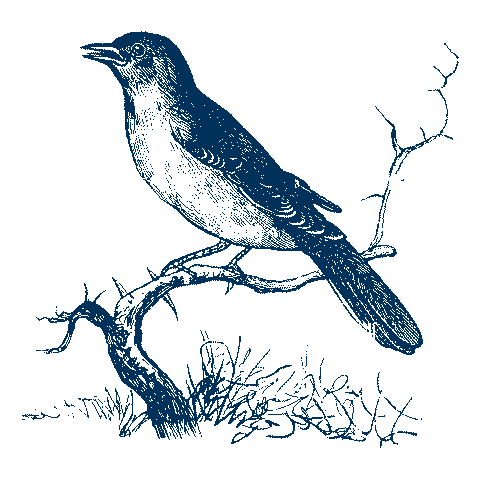 NightingalebyBeefbar Sticker