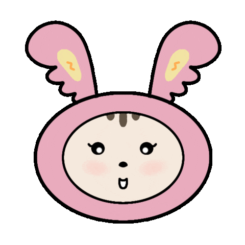 세븐틴 Hanie Sticker