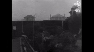 joris1944  GIF