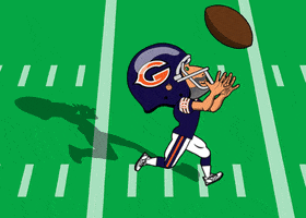 Chicago Bears Football GIF by Mike The Realtor
