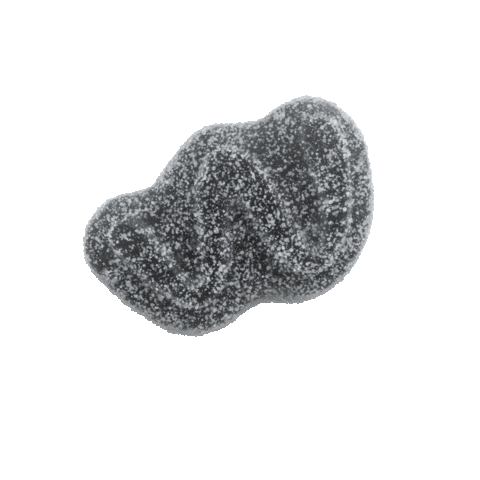 Saltlakrits Sticker by Wellibites