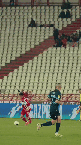 GIF by FK Crvena zvezda