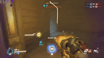 tmulkerin  GIF