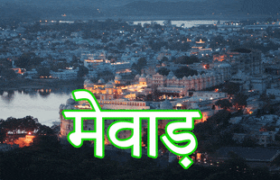 Hindi Rajasthan GIF by da sachin
