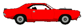 Car Racing Sticker
