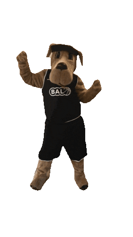 Basketbal academie Limburg Sticker