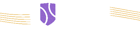 Womens Tennis Sticker by Credit One Charleston Open