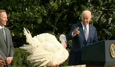 Joe Biden Turkey GIF