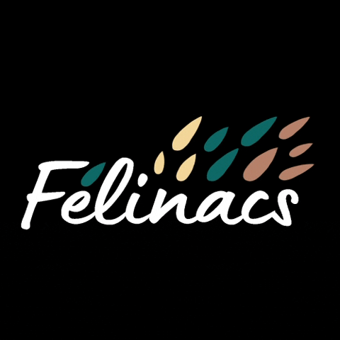 Félinacs GIF