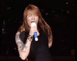 Guns N Roses GIF