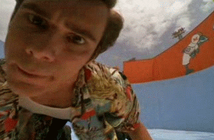 Inspect Jim Carrey GIF - Find & Share on GIPHY