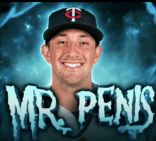 Minnesota Twins GIF