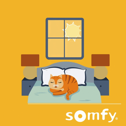 Cat Sleeping GIF by Somfy