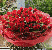 Birthday Flower Gifs Get The Best Gif On Giphy