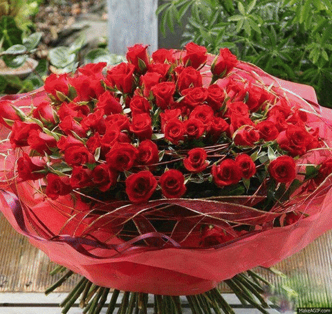 Red Rose Bouquet Gif