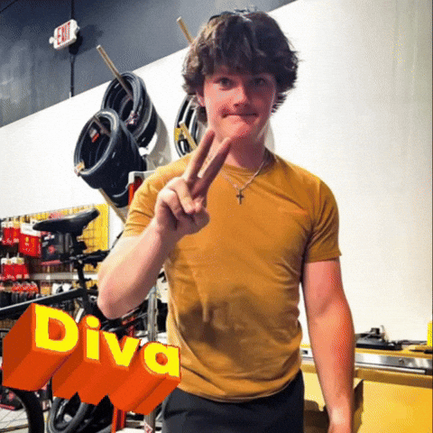 Diva GIF
