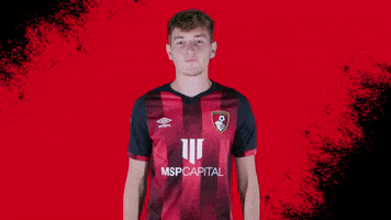 Wales Shrug GIF by AFC Bournemouth