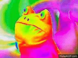 Rainbow Frog GIFs - Find & Share on GIPHY