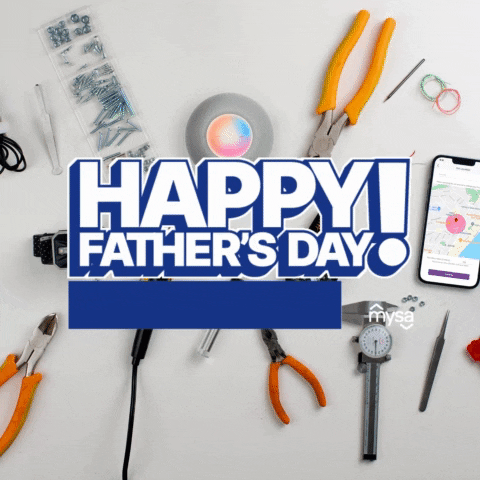 mysathermostat fathers day happy fathers day fathersday dad life GIF