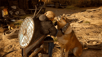 Assassins Creed Pet GIF by Xbox