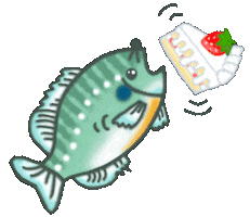 魚 Yrk Sticker