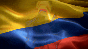 Miss World Colombia GIF by AndreaRomeroBre
