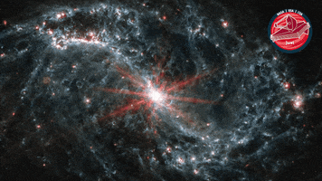Shining James Webb GIF by ESA Webb Space Telescope