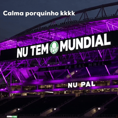 Palmeiras Nao Tem Mundial GIF