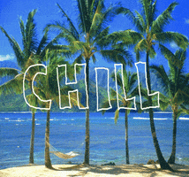 Palm Trees Beach GIF