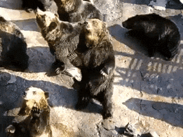 yupgr3dgemvrdxdr  GIF