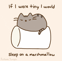 tiny sleep GIF by Pusheen