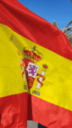 Team Spain GIF by gentedealicante