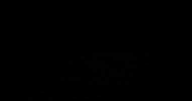 green parrot GIF
