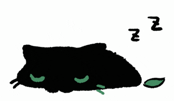 Cat Sleep GIF